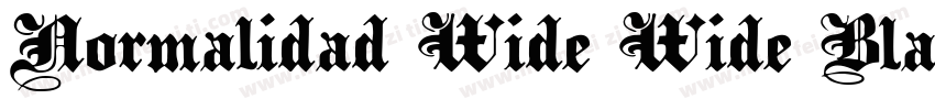 Normalidad Wide Wide Black字体转换